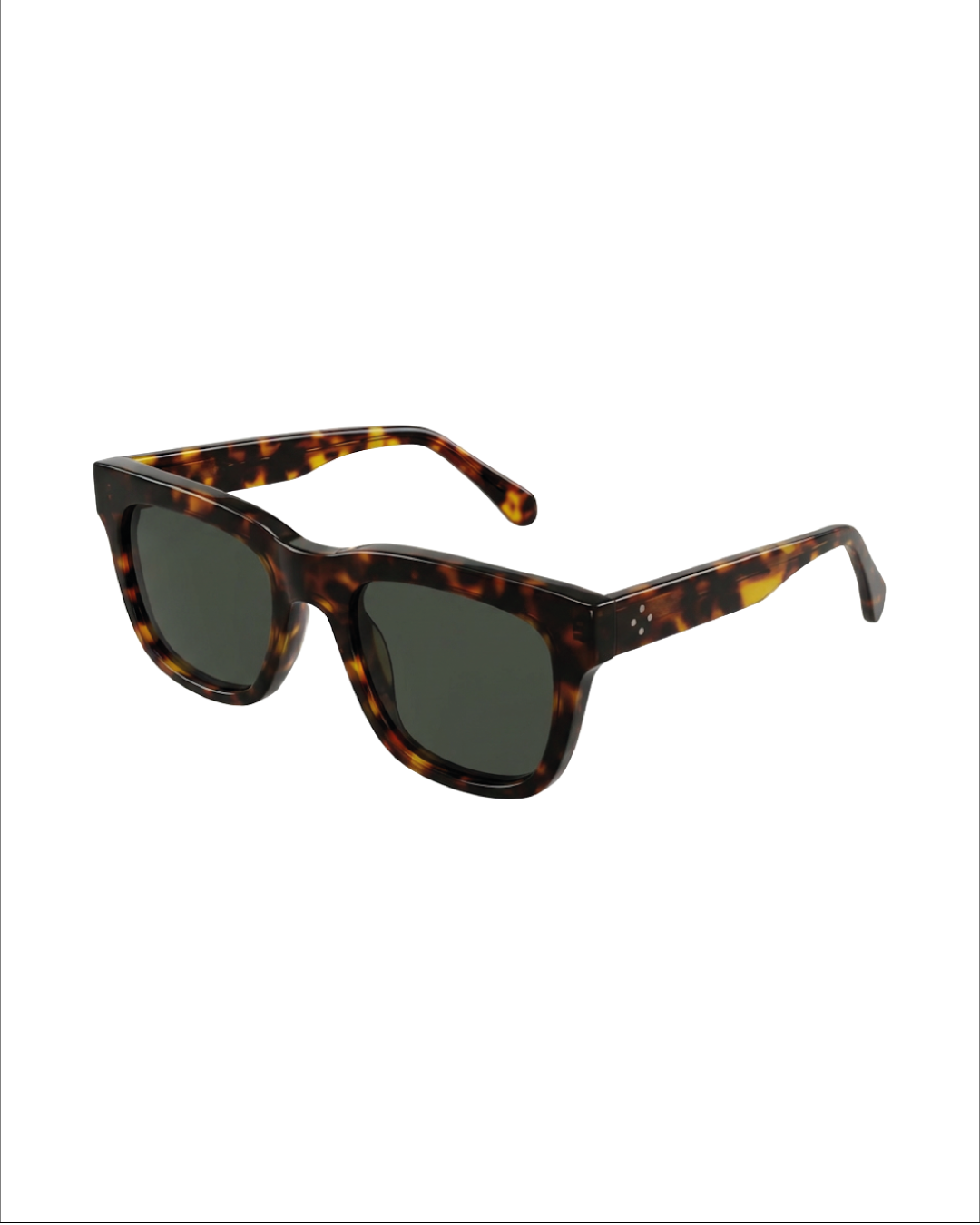 CITY TORTOISE- Sunglasses