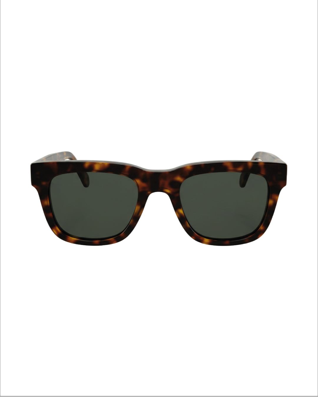 CITY TORTOISE- Sunglasses